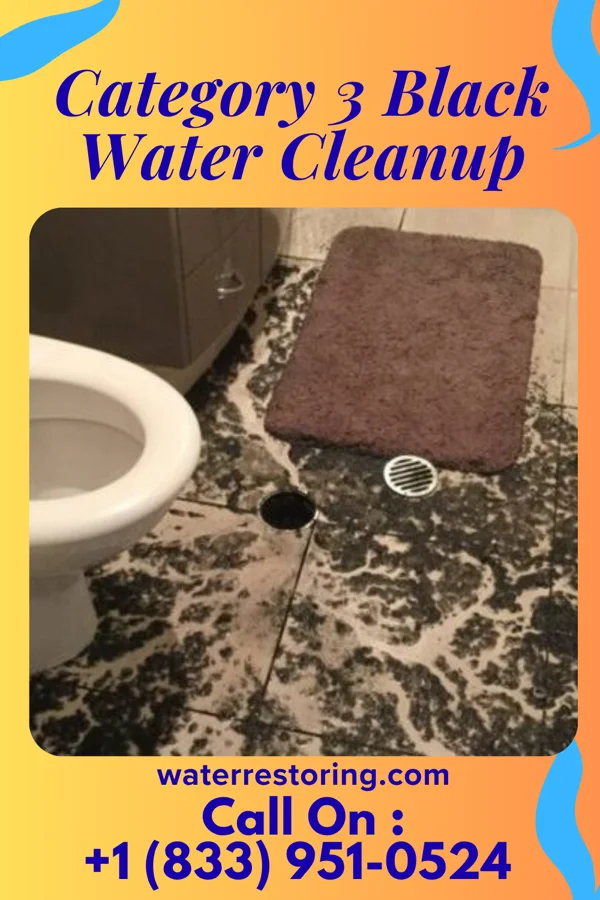 Category 3 Black Water Cleanup in Audubon Park, NJ
