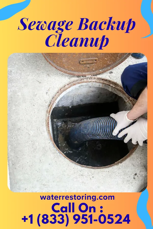 Sewage Backup Cleanup in Audubon Park, NJ