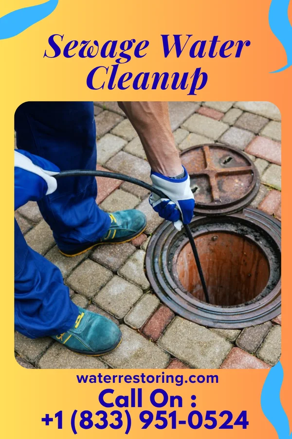 Sewage Water Cleanup in Audubon Park, NJ