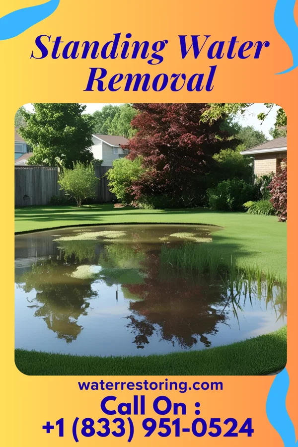 Standing Water Removal in Audubon Park, NJ